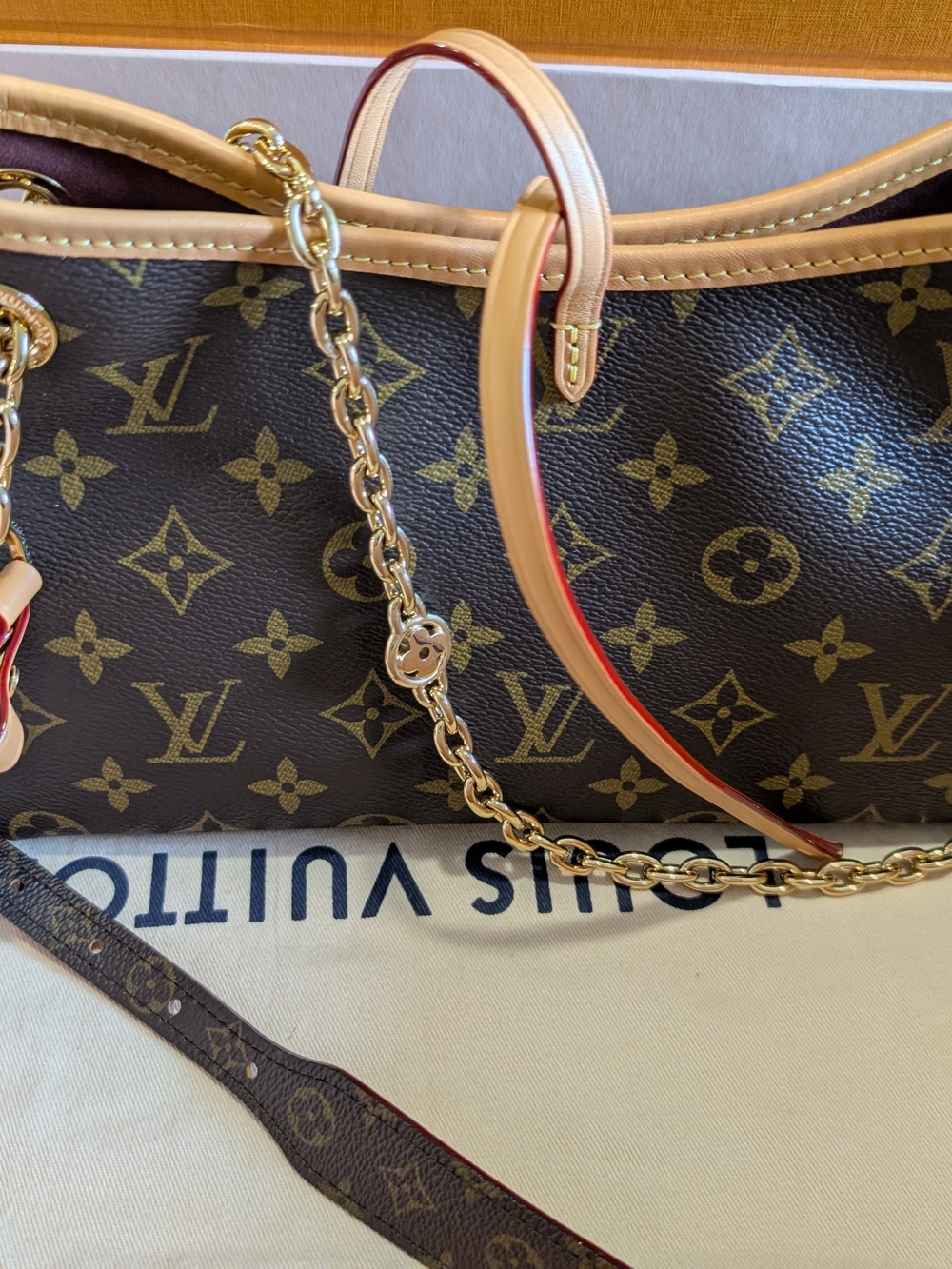 Louis Vuitton CarryAll BB - Picture 15 of 16